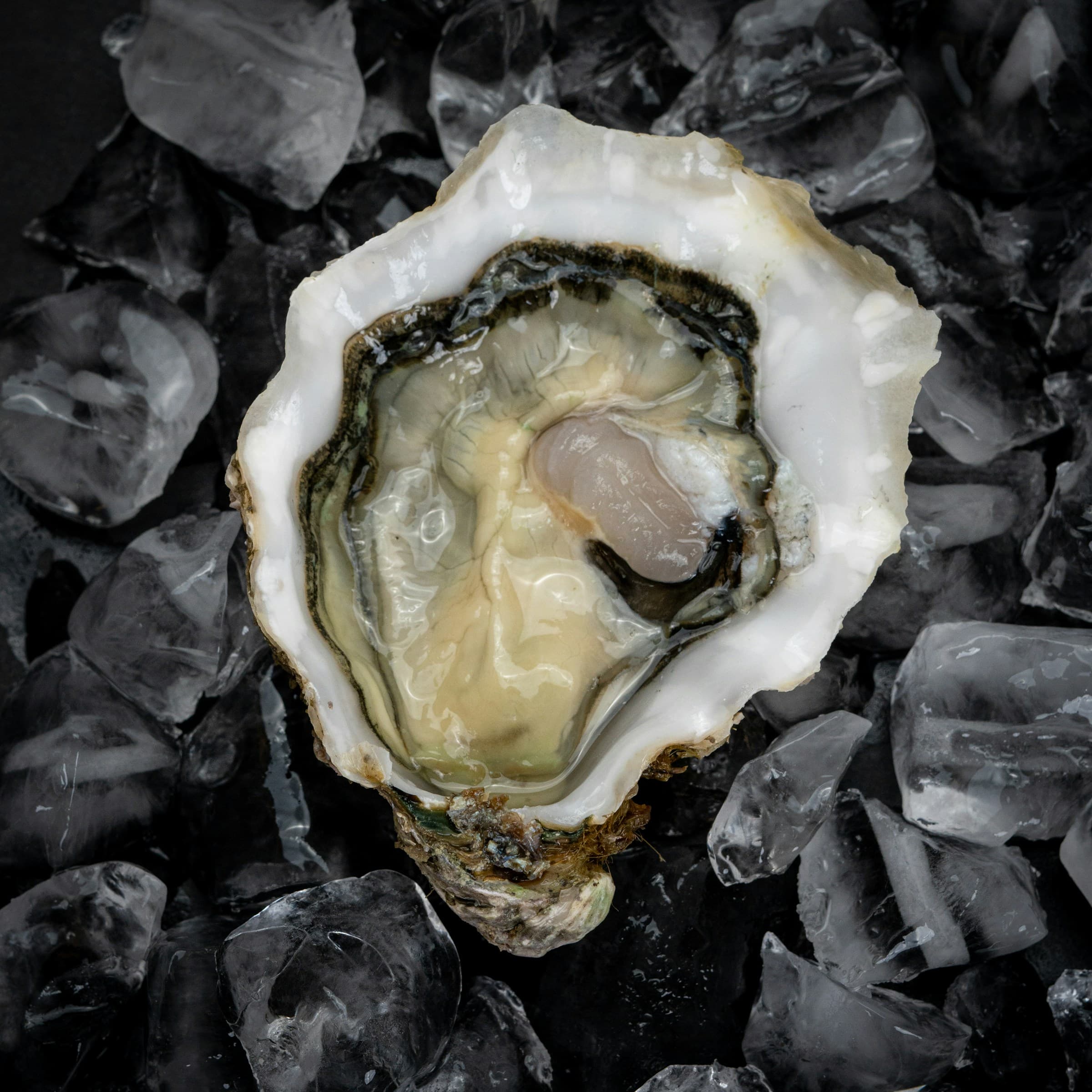 Oyster with apple and horseradish snow on a bed of ice